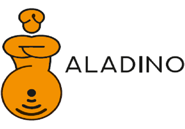 Aladino sistema apriporte domotizzato